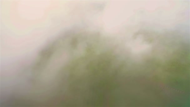 Vliegen over het bos bedekt met wolken en mist — Stockvideo