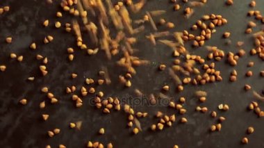 Döner bir plaka üzerine düşen buğday taneleri. Video yemek 360