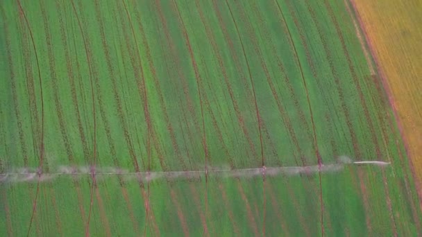 Flygfoto. Systemet skarva vattning av vetefält, utsikten från toppen. Industriellt jordbruk. — Stockvideo