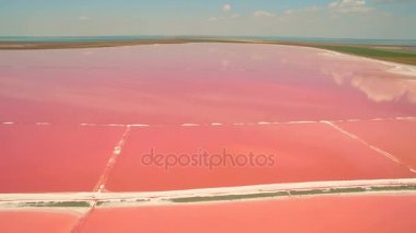 Tuzlu deniz suyunun havadan görünüşü Pembe plankton renginde buharlaşma göletleri