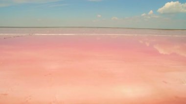 Tuzlu deniz suyunun havadan görünüşü Pembe plankton renginde buharlaşma göletleri