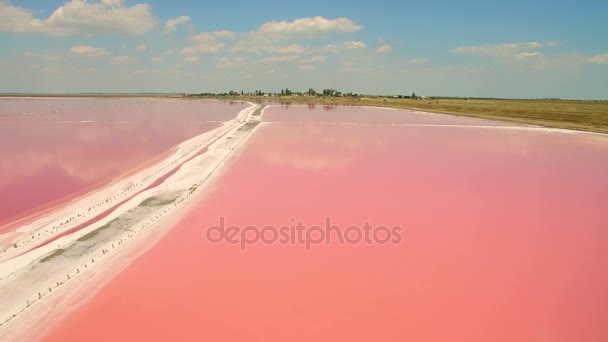 Vista aérea de los estanques de evaporación de agua salada con plancton rosa — Vídeo de stock