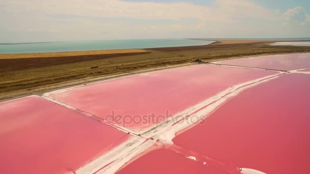 Vista aérea de lagoas de evaporação de água salgada com cor de plâncton rosa — Vídeo de Stock