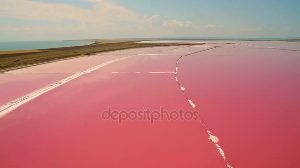 Luchtfoto van zoutwaterverdampingsvijvers met roze planktonkleur — Stockvideo