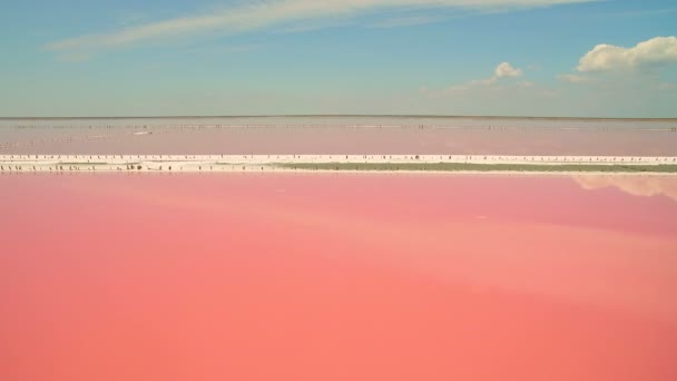 Αεροφωτογραφία των δεξαμενών εξάτμισης θαλασσινού αλατιού με ροζ χρώμα πλαγκτόν — Αρχείο Βίντεο