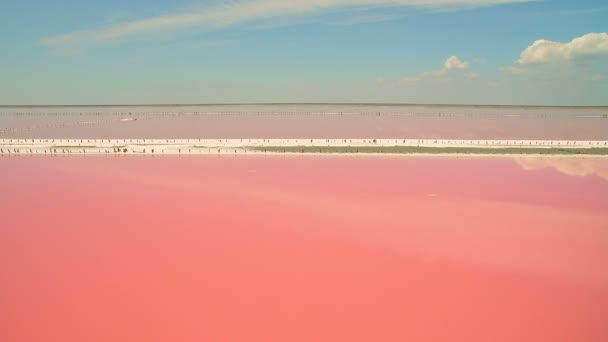 Tuzlu deniz suyunun havadan görünüşü Pembe plankton renginde buharlaşma göletleri — Stok video