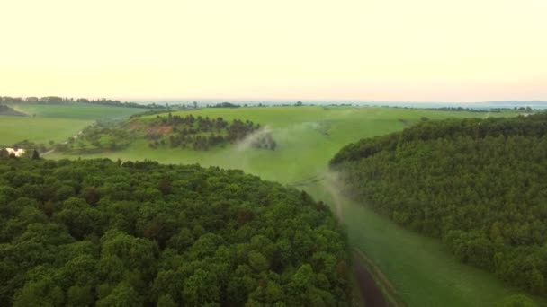Aerial morgon dimma fältet skog. Ukrainska — Stockvideo