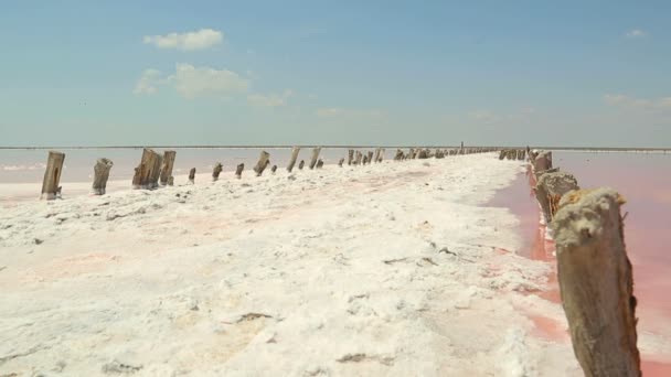 Saltvattenavdunstningsdammar med rosa planktonfärg — Stockvideo
