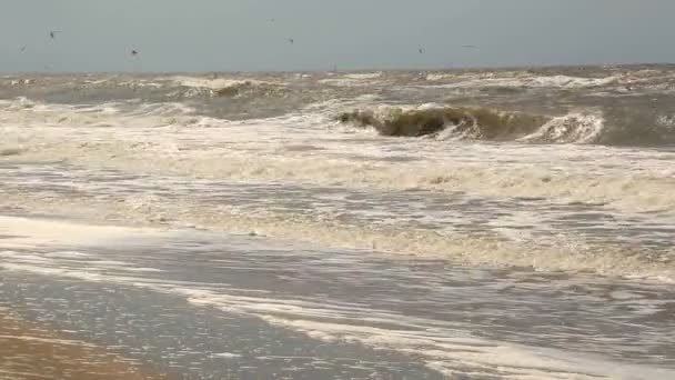 El mar está irrumpiendo. Grandes olas llegan a la playa — Vídeo de stock