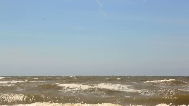 O mar está a invadir. Grandes ondas vêm para a praia — Vídeo de Stock