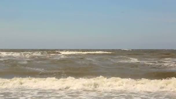 La mer prend d'assaut. De grandes vagues arrivent à la plage — Video