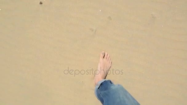 Les jambes marchent le long du sable, Voyage, tourisme, vacances — Video