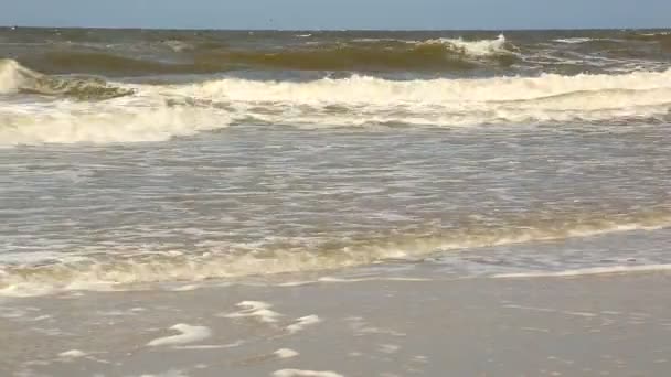 Море штурмует. Большие волны приходят на пляж — стоковое видео