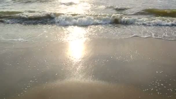 Морська вода миє піску на пляжі у сонячний день. Красиве тло. Море є на заході сонця в Нідерландах, Зандвоорт — стокове відео