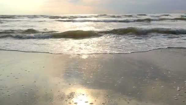 Sea water washes sand on the beach on a sunny day — Stock Video