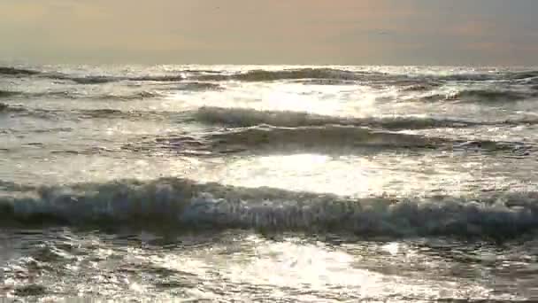 El agua de mar lava la arena en la playa en un día soleado — Vídeos de Stock