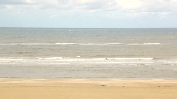 Spiaggia di Zandvoort, Paesi Bassi . — Video Stock