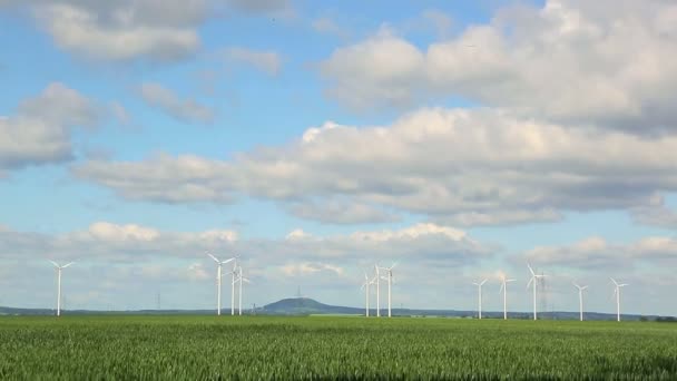 Энергия ветра Польши. Пейзаж с ветряными мельницами и цветущим пшеничным полем — стоковое видео