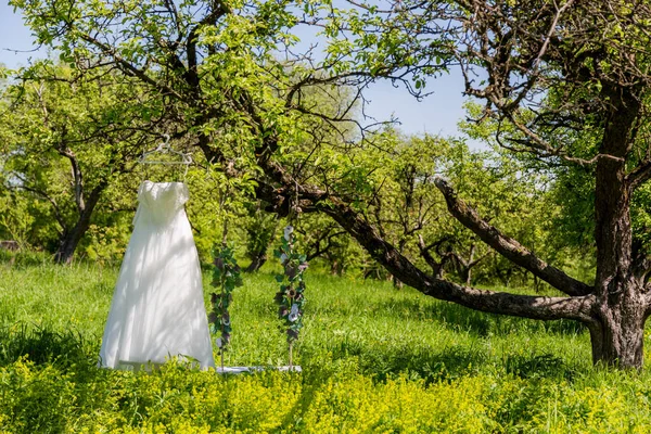 Parkta bir gelinlik ve bir salıncak yapay çiçek batırılmış bir ağaç üzerinde asılı