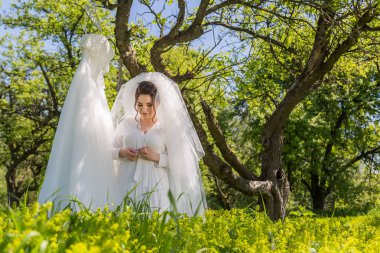Gelin bir sabahlık parkta giyer. Ağaca süslenmiş onu asılı bir gelinlik olduğunu