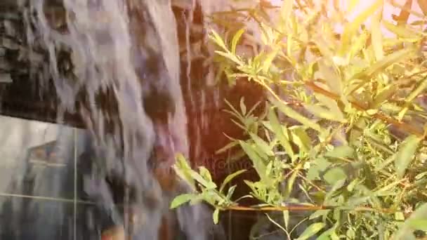 Litet konstgjorda vattenfall genom de gröna bladen. — Stockvideo
