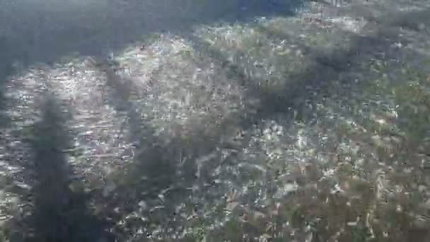 Forte flusso di fondo del fiume, girato dalla vista dall'alto — Video Stock