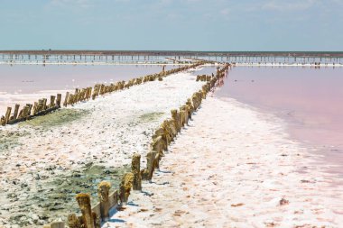 Pembe plankton renginde tuzlu deniz suyu buharlaşır.