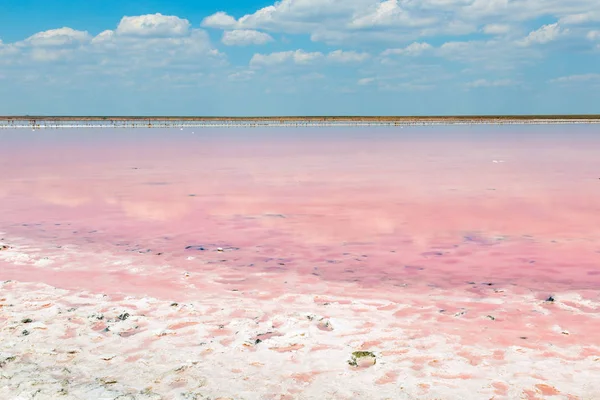 Pembe plankton renginde tuzlu deniz suyu buharlaşır.