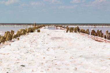 Pembe plankton renginde tuzlu deniz suyu buharlaşır.