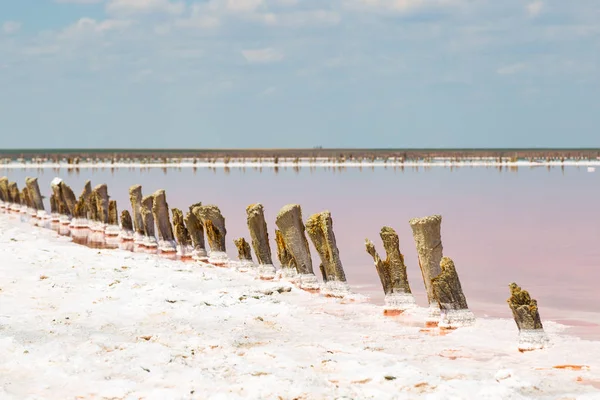 Pembe plankton renginde tuzlu deniz suyu buharlaşır.