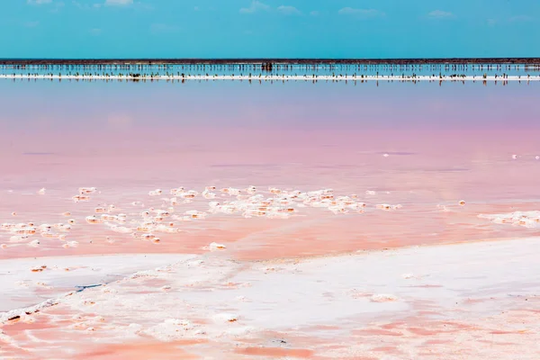Pembe plankton renginde tuzlu deniz suyu buharlaşır.