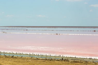 Pembe plankton renginde tuzlu deniz suyu buharlaşır.