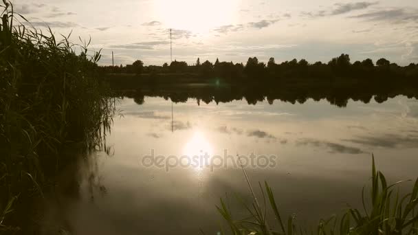 Vara de pesca no lago. Pesca de verão ao pôr do sol — Vídeo de Stock