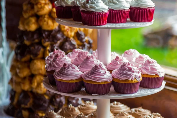 Tatlı tablo bir parti için. Ombre kek, Top kek. Şeker çubuğu