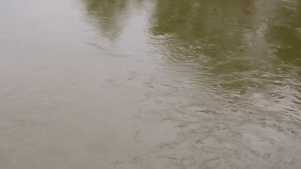 Vista de cima. Fluxo rápido e borbulhamento de água, cor marrom no rio . — Vídeo de Stock