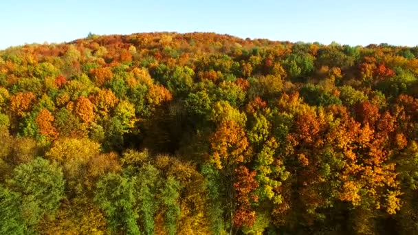 Neer te kijken op verbazingwekkend mooie herfst kleuren, bomen, bossen en luchtfoto drone viaduct weergave. — Stockvideo