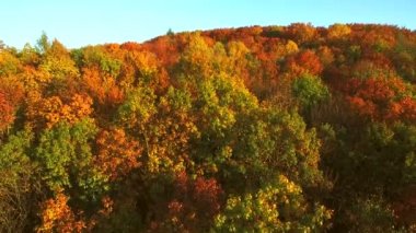 Havadan görüntüleri görünümü. Ormanlar, çayırlar ve gün batımı yumuşak ışık tepelerde ile sonbahar Dağları üzerinde uçuş.