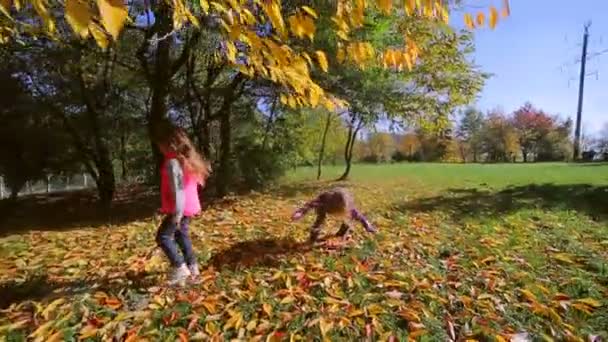 Crianças brincando no parque de outono . — Vídeo de Stock