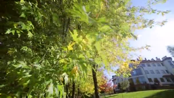 Parc d'automne avec de beaux arbres colorés, feuilles jaunes d'automne par une journée ensoleillée. Les rayons du soleil traversent les arbres. La caméra se déplace devant 