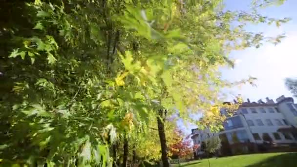 Parque de otoño con hermosos árboles de colores, hojas amarillas de otoño en un día soleado. Los rayos del sol atraviesan los árboles. La cámara se mueve delante de — Vídeos de Stock