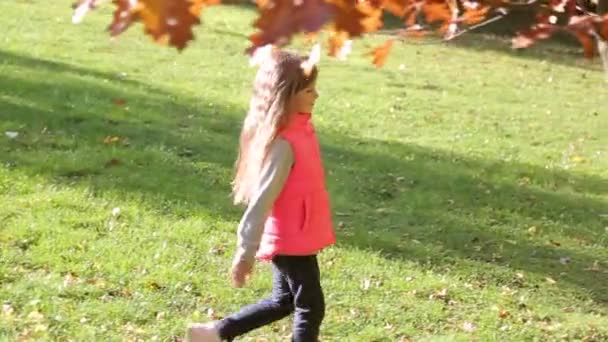 Bambina che cammina nel parco autunnale. Movimento della fotocamera al profilo insieme con le ragazze passo — Video Stock