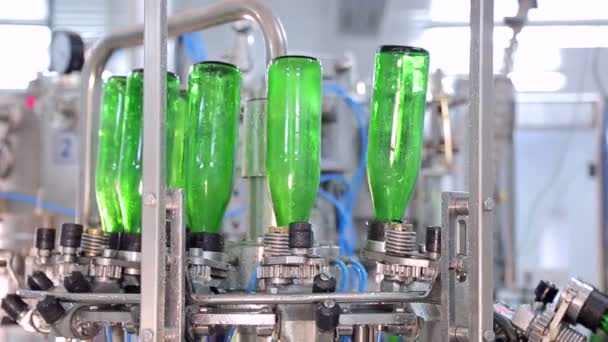 Lijn van waterproductie. Groene glazen flessen verplaatsen langs de lijn, ze automatisch worden gespoeld voordat vullen met water — Stockvideo