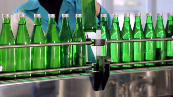 生産ラインの従業員はミネラルウォーターの緑色のガラス瓶をワイプします。 — ストック動画