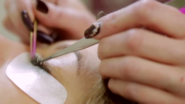 Nahaufnahme von Reinigungs- und Wimpernverlängerungen im Schönheitssalon — Stockvideo