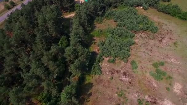 Aerial view of the oil gas drilling tower in forest — Stock Video