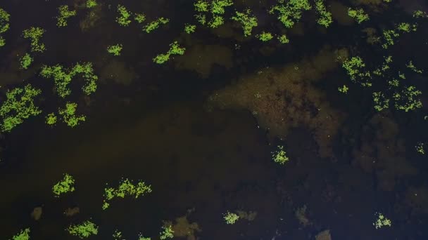 Aerial view of the oil gas drilling tower in forest — Stock Video