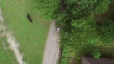 Hava atış. Bir bisiklet tandem sürme bir kadın ve erkek.