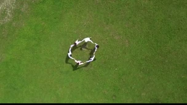 Tir aérien. Vue sur le dessus. Un groupe de jeunes dansant sur des galavini verts se tenant la main en l'honneur du Saint. Extérieur 