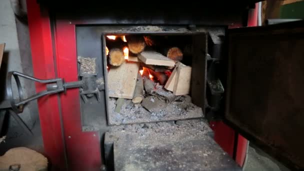 Wood-fired boiler. An alternative fuel economy for the boiler. — Stock Video