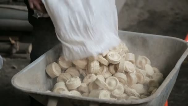Wooden pellets. An alternative fuel economy for the boiler. — Stock Video